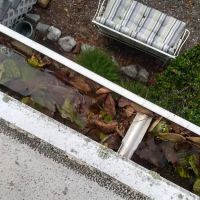 Meadowstone Park ico