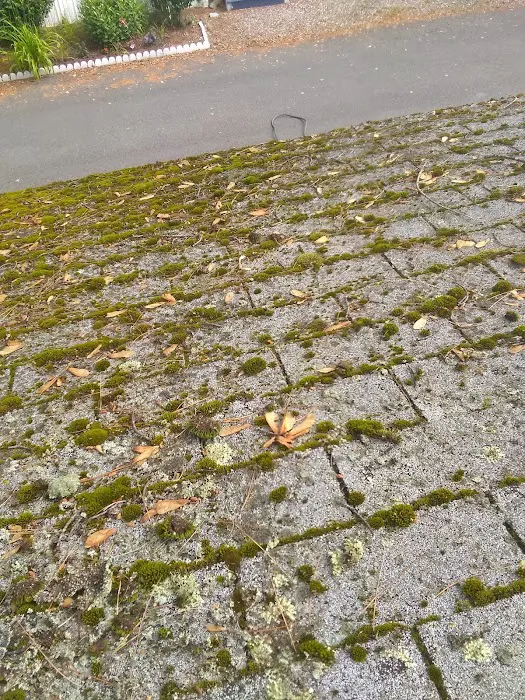 Meadowstone Park Picture 10