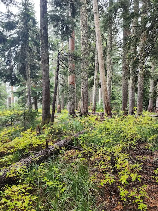 Goose Lake Campground Picture 3