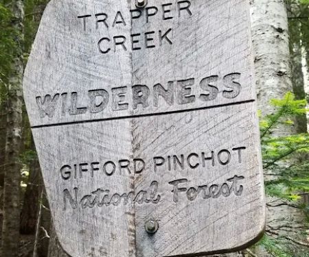 Observation Berryfield Campground