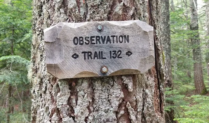 Observation Berryfield Campground Picture 3