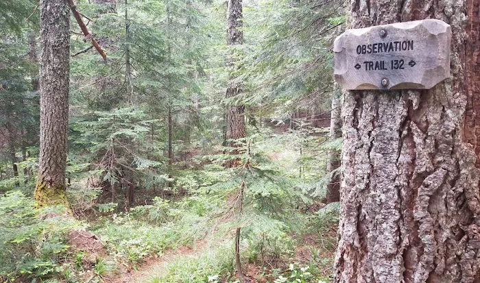 Observation Berryfield Campground Picture 2