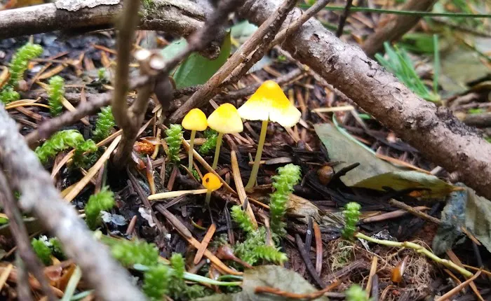 Observation Berryfield Campground Picture 7