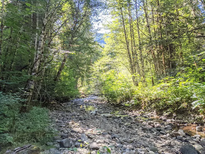 Paradise Creek Picture 1