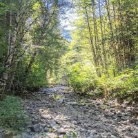 Paradise Creek ico