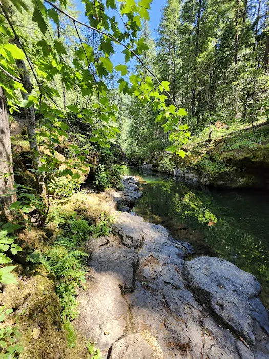 Paradise Creek Picture 2