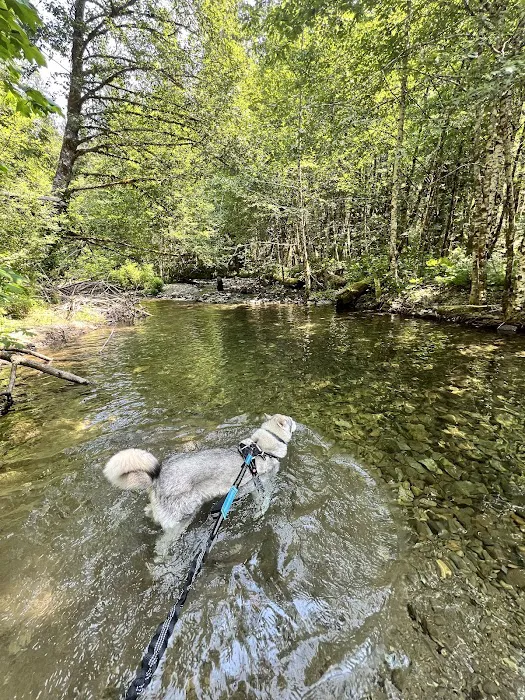 Paradise Creek Picture 7
