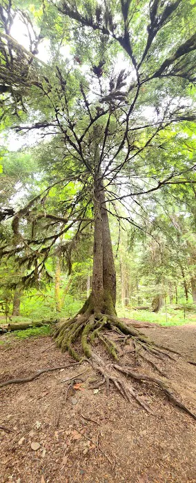 Paradise Creek Picture 8