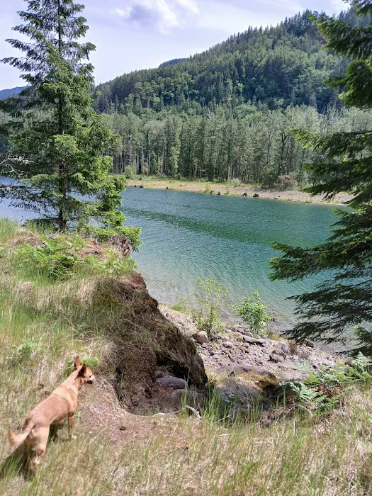 Beaver Bay Campground Picture 7