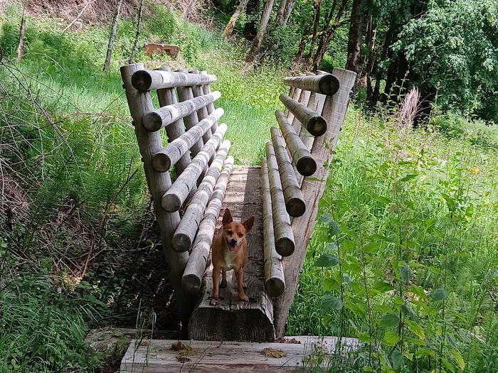Cougar Park & Campground Picture 1