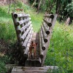 Cougar Park & Campground