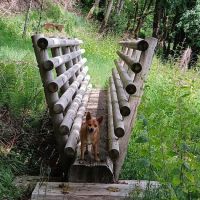 Cougar Park & Campground ico