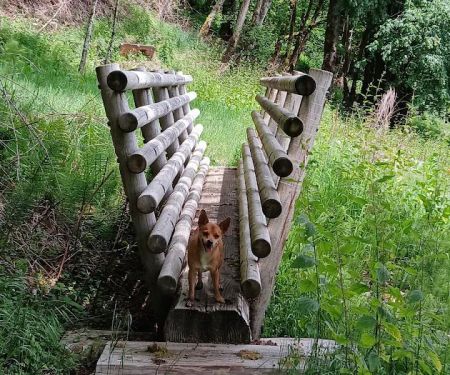 Cougar Park & Campground