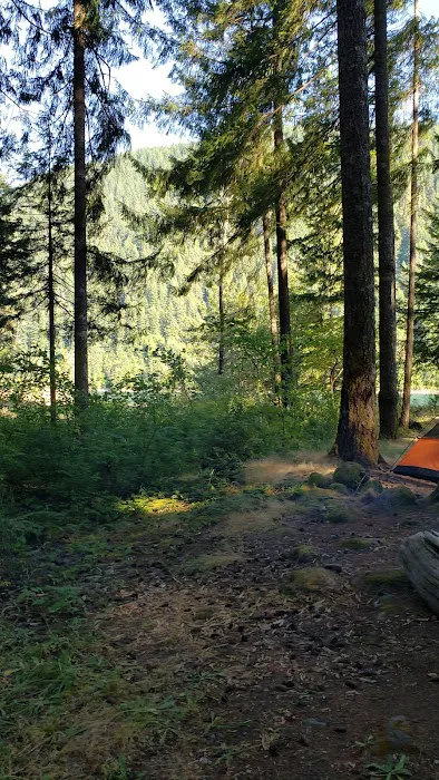 Cougar Park & Campground Picture 2