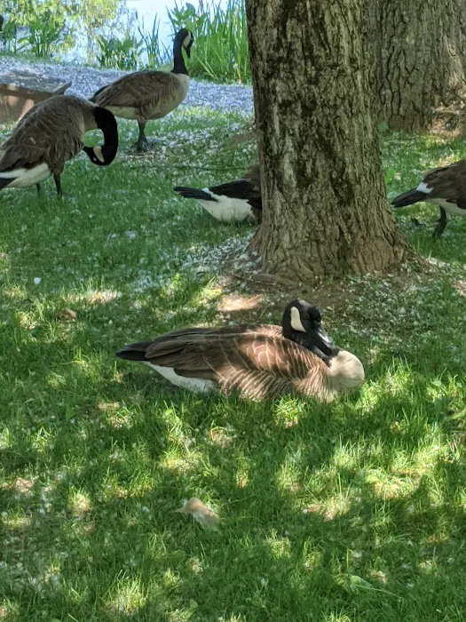 The Villages at Turning Stone Picture 8