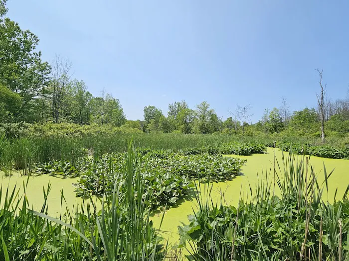 The Villages at Turning Stone Picture 10