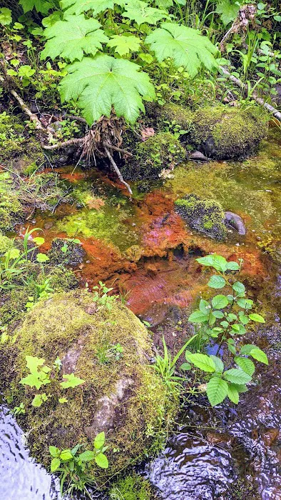 Campground: Government Mineral Springs Picture 2