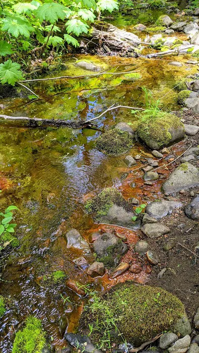 Campground: Government Mineral Springs Picture 1
