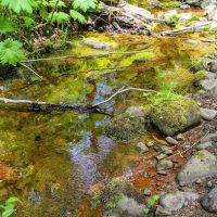 Campground: Government Mineral Springs ico