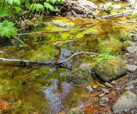 Campground: Government Mineral Springs