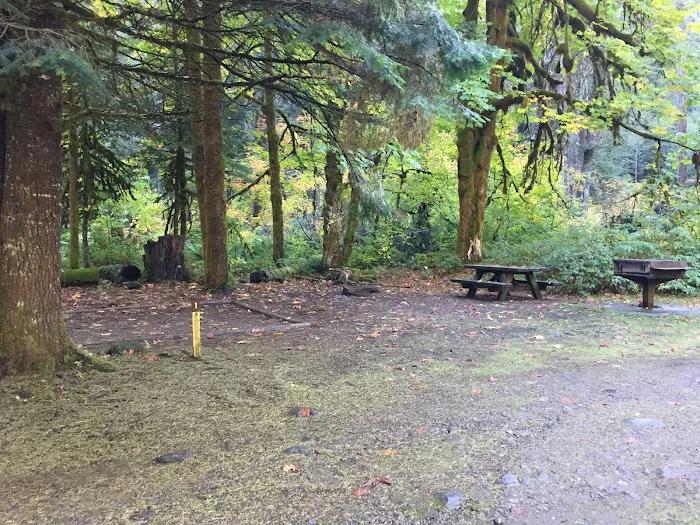 Campground: Government Mineral Springs Picture 6