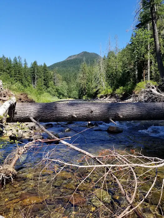Campground: Government Mineral Springs Picture 5