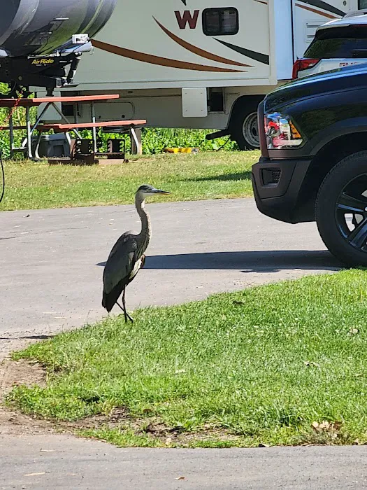 Oneida Indian Nation RV Park Picture 8