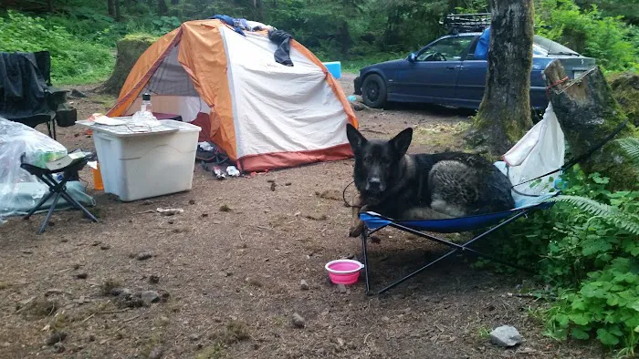 Canyon Creek Campground Picture 1