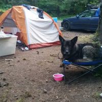Canyon Creek Campground ico