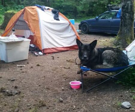 Canyon Creek Campground