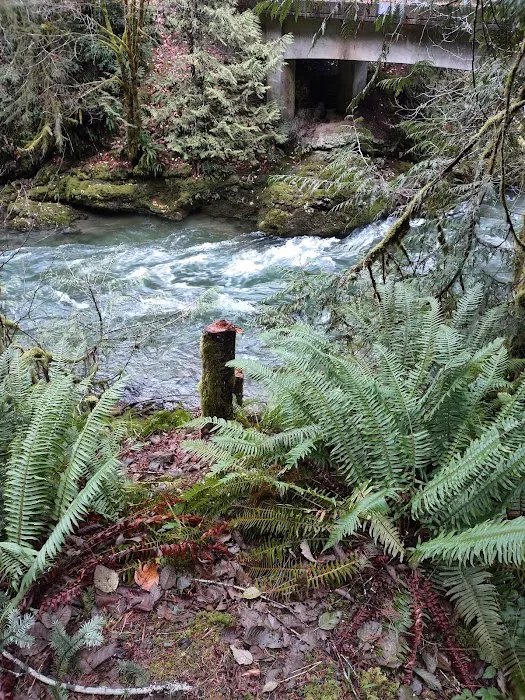 Canyon Creek Campground Picture 4
