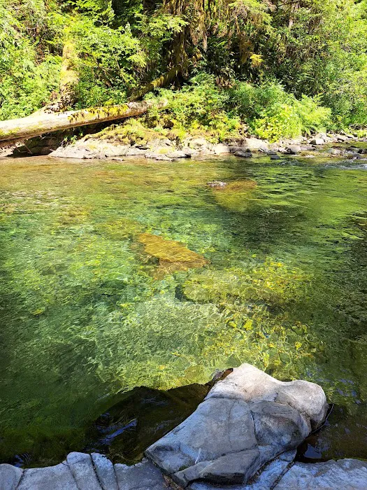 Canyon Creek Campground Picture 7
