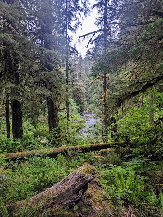 Canyon Creek Campground Picture 6