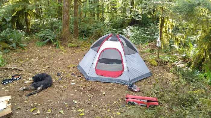 Canyon Creek Campground Picture 9