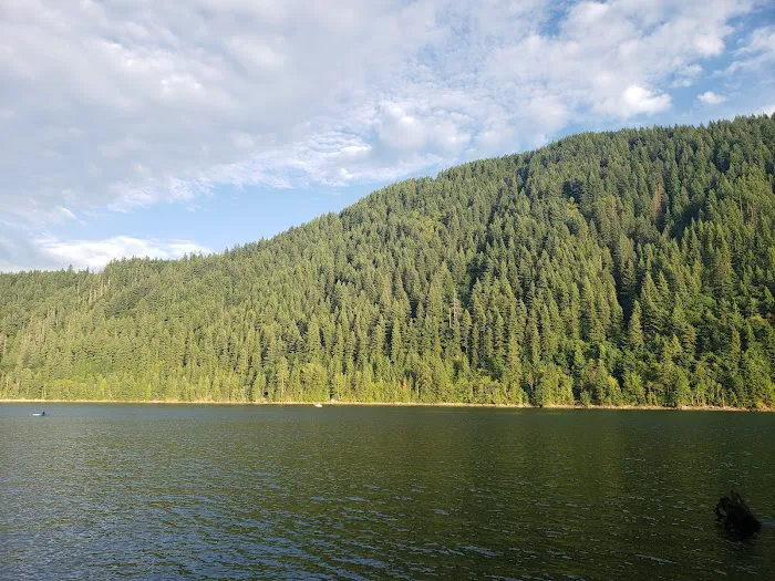 Cougar RV Park & Campground Picture 10
