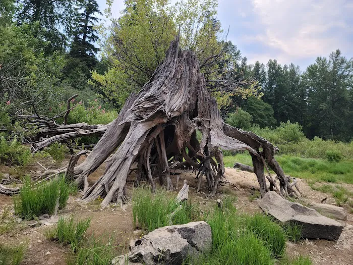 Merrill Lake Campground Picture 4