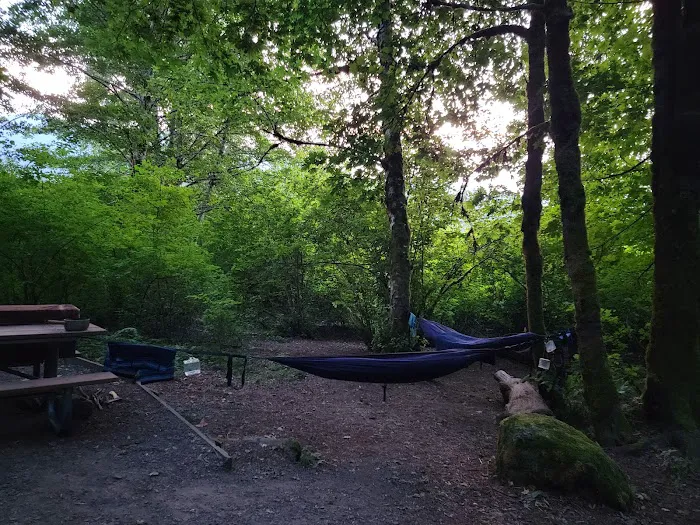 Merrill Lake Campground Picture 6
