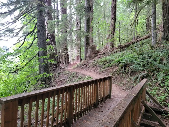 Merrill Lake Campground Picture 8