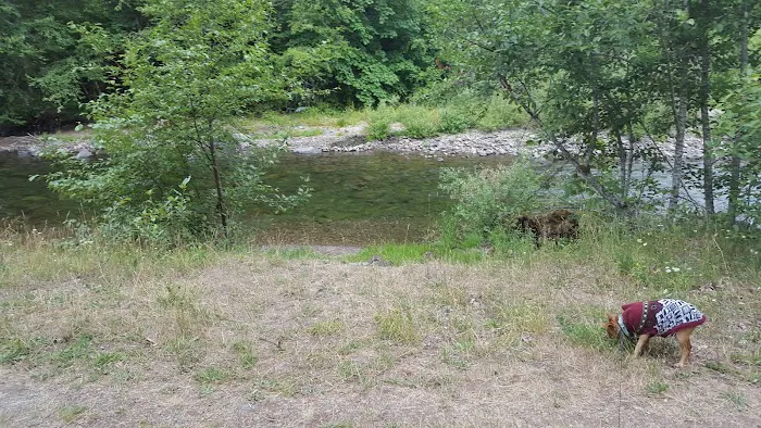 Beaver Campground Picture 6
