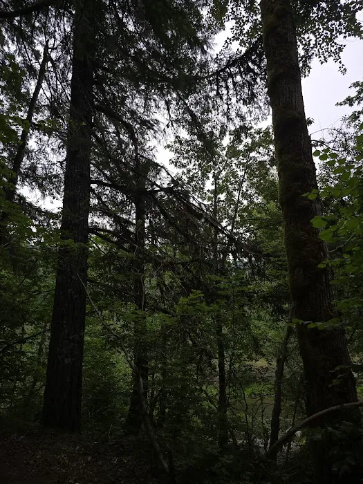 Beaver Campground Picture 2