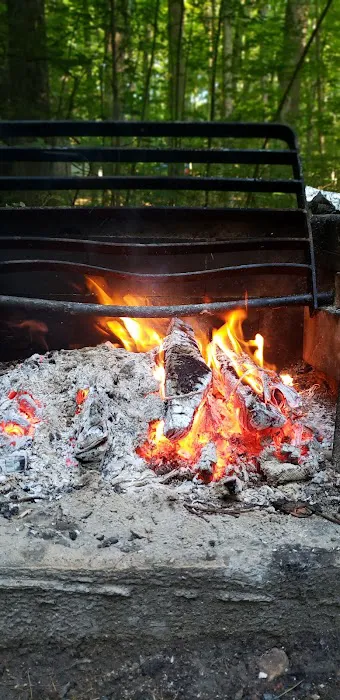 Camp Hearthstone | Thornwood Trailer Court Picture 3