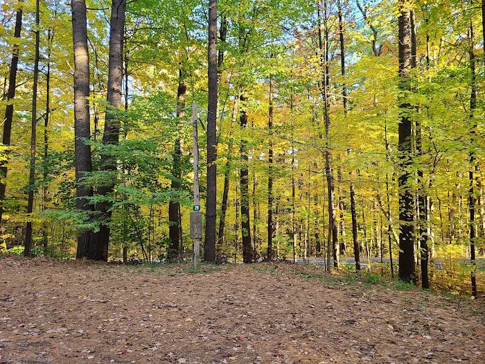 Camp Hearthstone | Thornwood Trailer Court Picture 7