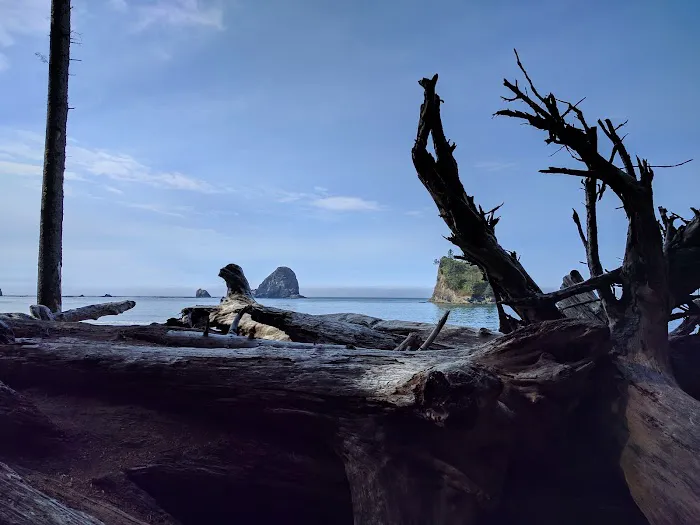 Strawberry Point Picture 7