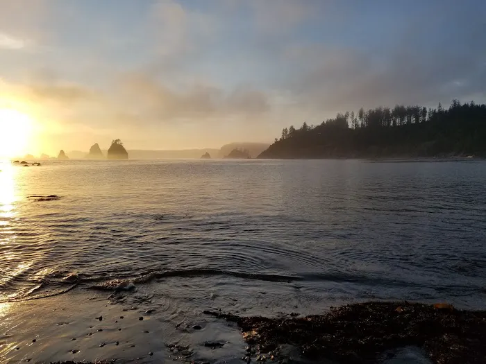 Strawberry Point Picture 8