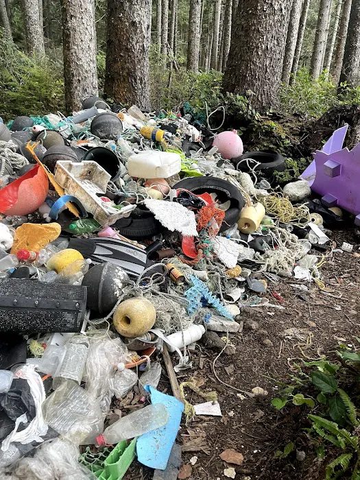 Strawberry Point Picture 9