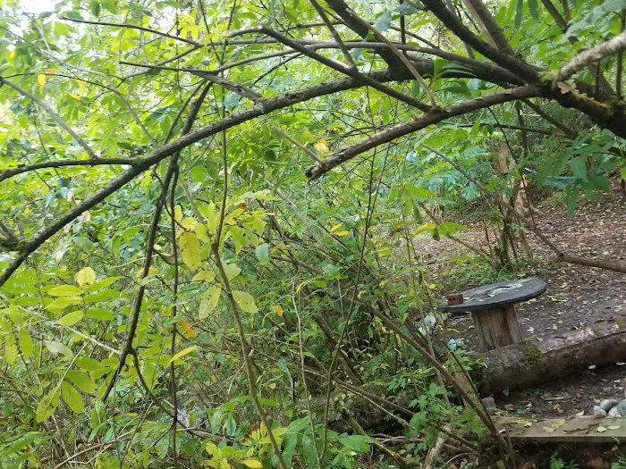 Savage Streams Campground Picture 2