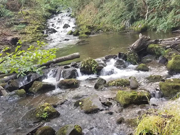 Savage Streams Campground Picture 6