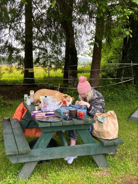 Last Chance Camp Equine Rest Stop Picture 1