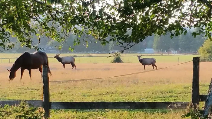 Last Chance Camp Equine Rest Stop Picture 3