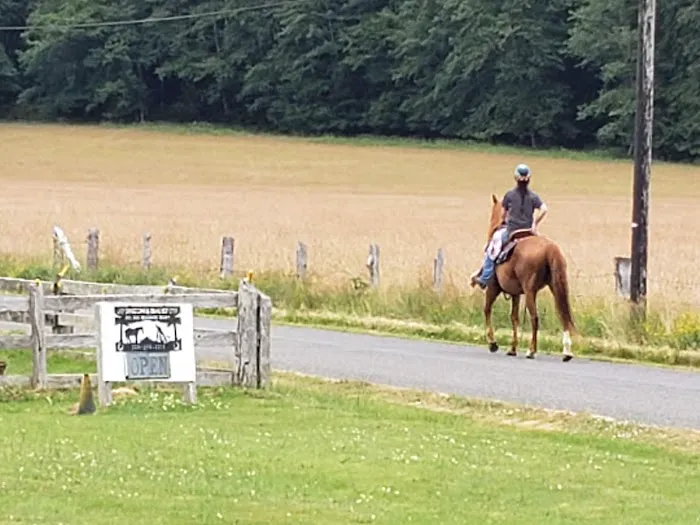 Last Chance Camp Equine Rest Stop Picture 6